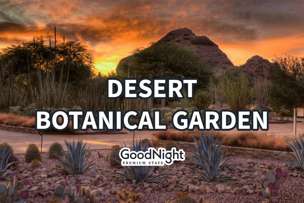 A peaceful desert landscape featuring vibrant desert plants, unique rock formations, and a glowing sunset sky. The natural elements evoke relaxation and a spirit of discovery, ideal for guests looking to immerse themselves in the distinctive Arizona environment.